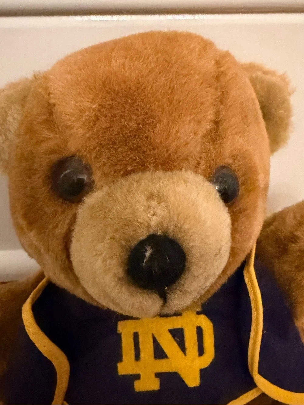 Vintage Notre Dame Fighting Irish Teddy Bear Plush 10